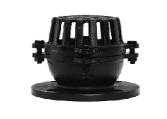 วาล์วเท้าเหล็กหล่อกันสนิม, ป้องกันการเกิดออกซิเดชัน 10K Foot Valve Flange Type